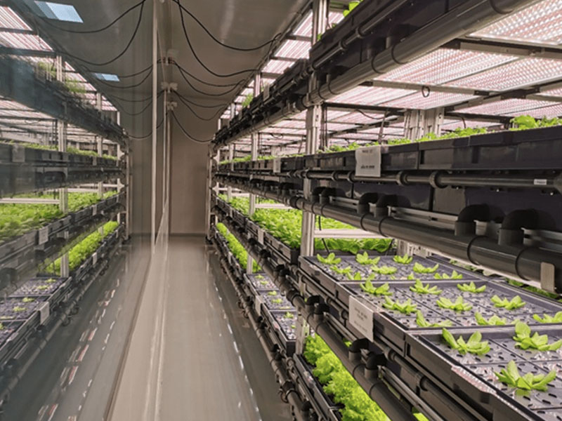 集装箱植物工厂技术介绍