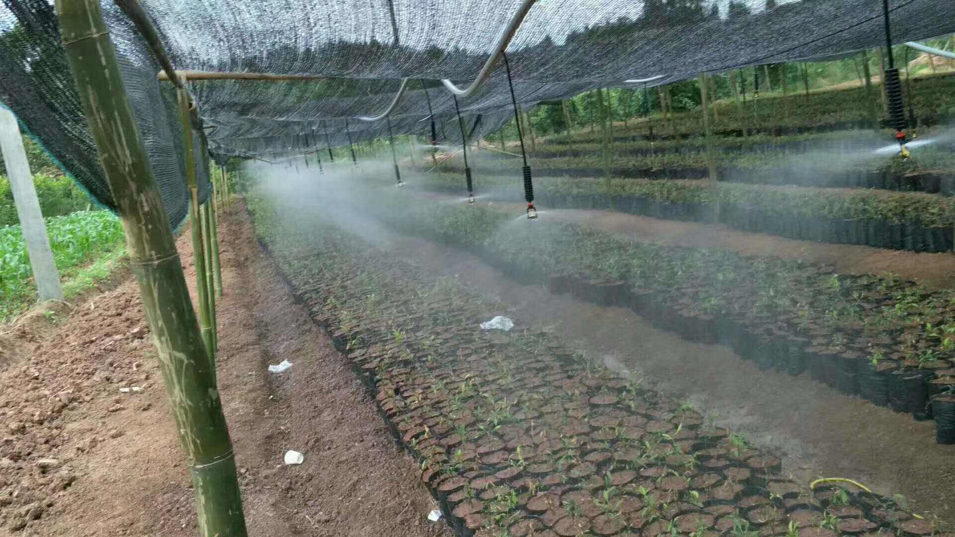 大棚吊挂微喷